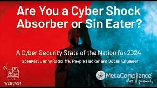 Cyber Shock Absorber or Sin Eater? A Cyber Security State of the Nation for 2024