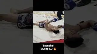 Saenchai Sweep KO 🔥 - 2005 Against Kem Sor. Pleonjit 
