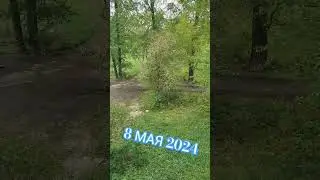 Вот такой май #2024 #life #reels #rocknroll #viral #топ #dimmann71 #весна