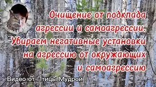 Как очистить себя от подклада агрессии  окружающих и самоагрессии.