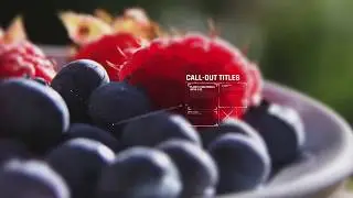 Call outs Titles After Effects Free Presets