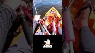 É que o peixe a gente tem certeza que vamos comer !!!
