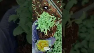 И ТАКОЕ ТОЖЕ БЫВАЕТ Лёд, а КАКОЙ крепкий