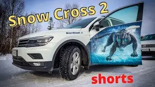 Зимние шины Cordiant Snow Cross 2 