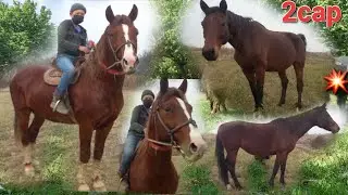 Аспи Зоти фуруши +992981065510 ватсап Срочна фуруши отбозор Аспбозор    г.молбозори хучанд худжанд