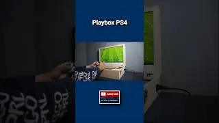 Playbox PS4, PS4 Portable