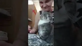 Грейси, очень хочет домой! Она уже настрадалась в этой жизни.Все позади.Ей пора в семью СПб и ЛО.