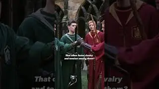 Unpopular Harry Potter opinion