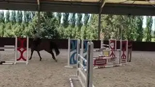 Diamond B Catapulte Training 1