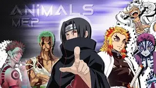 [4K] Animals Mep「AMV/Edit」(6 EDITORS 1 EDIT)
