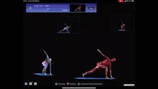 Yoga Lunge Twist