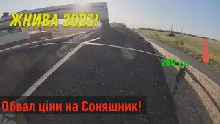 ШОК! Обвал ціни на Сонях! Жнива 2023