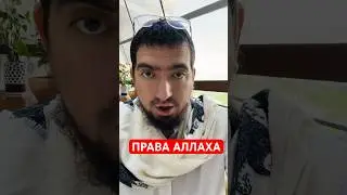 Права АЛЛАХА. Скверна ширка