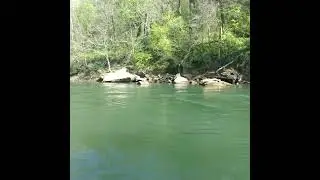 White River Kayak Fishing results
