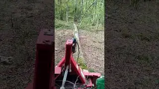 Chêne vs treuil 8 t 