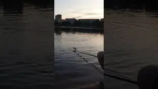 #рибалка #риба #риболовля