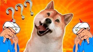 DOES AKINATOR KNOW DOGE MEME? | AKINATOR THE WEB GENIE | FREE ONLINE GAME