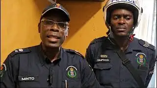 St Elizabeth police seize over 800 rounds of ammunition during operation