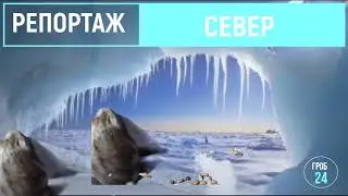 РЕПОРТАЖ: САБЛЕ-ЗУБЫЕ ШУСТРИКИ!!! ТЕЛЕКАНАЛ ГРОБ 24