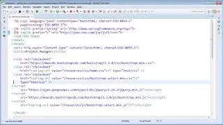 Cross Site Scripting JSP Basics