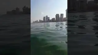 Качаясь на волнах