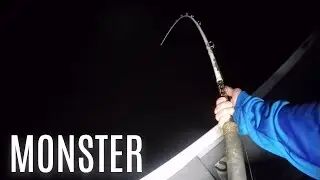 MONSTER CATFISH DOUBLE (Ft. 