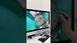 Тулупова Дарья Анатольевна –реставрация
