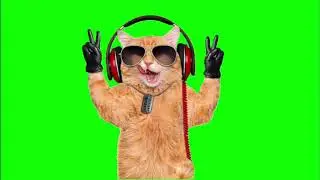 ✔️GREEN SCREEN EFFECTS: funny cat dance