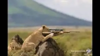 gulmeli sekiler