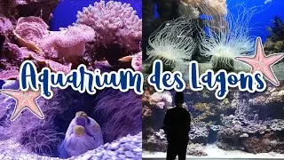 【ニューカレドニア】おばあちゃんと三人で水族館！✨🐟 | We went to Aquarium des Lagons with our grandma!✨🐟