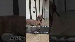 #не_хохма