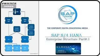 SAP S/4 HANA Enterprise Structure Explained in detail