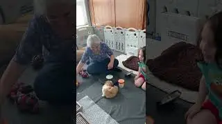 Carmen Playtime