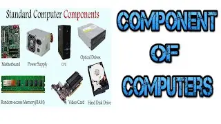 What is Component of computer System|  An Introduction to CPU, I/O Devices