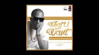 Naeto C - What You Want Ft  BOJ x Ajebutter22