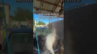 Do you water you car daily?💦 #tesla #car #carlover #carlifestyle #teslamodel3 #teslafans