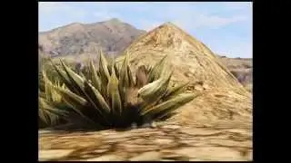 GTA V Ястреб и Кролик