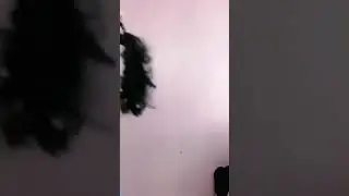 misi numpang lewat