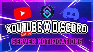 How To Set Up an Automatic Discord 