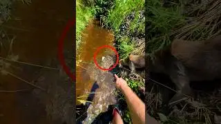 I found something crazy! 💰😳