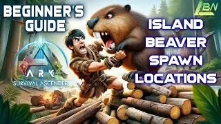 Island Beaver Spawn Locations - Beginner's Guide