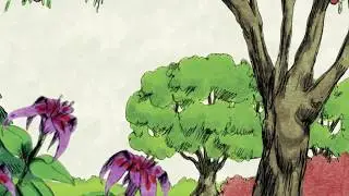Bible Stories  The Creation
