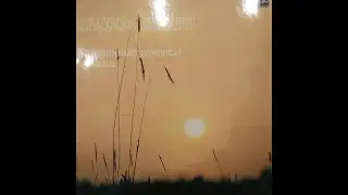 Вадим Козин. Старинные романсы и песни. Пластинка. Vinyl