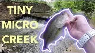 Fishing a TINY MICRO creek for bass! (This lure works!!)