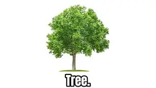 Tree.