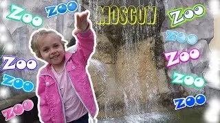 VLOG: Moscow Zoo // Moscow Zoo. Mila could not bear the smell of penguins