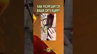 25 марта 2024 г.