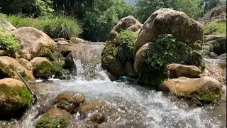 Peaceful Waterfall Natural Sounds | Calming Nature Ambience