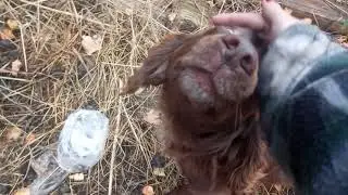 Хороший мальчик Жека добыл колбасу
