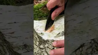 Survival Skills Creating FIRE 🔥 with Foil and Battery. 